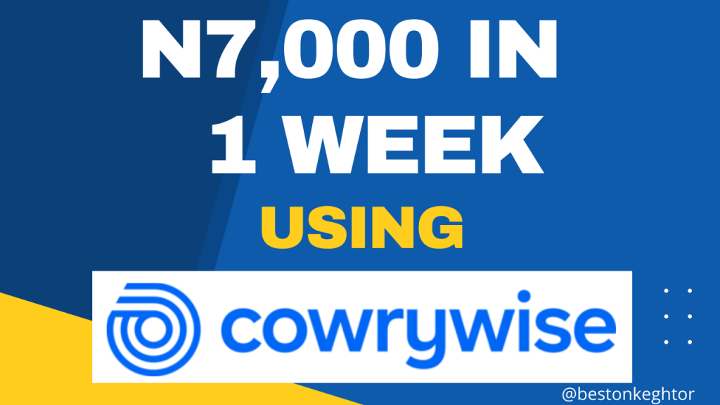 Make passive income with cowrywise